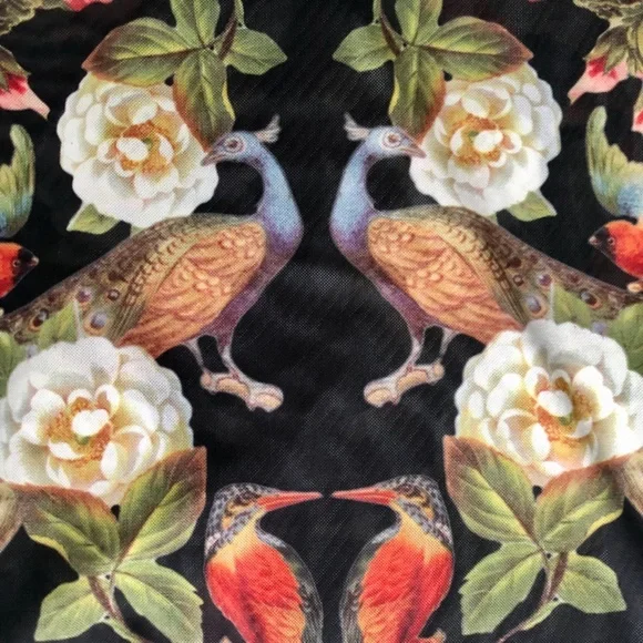 NWOT Nasty Gal Sheer London Body-con Dress - Picture 10 of 16